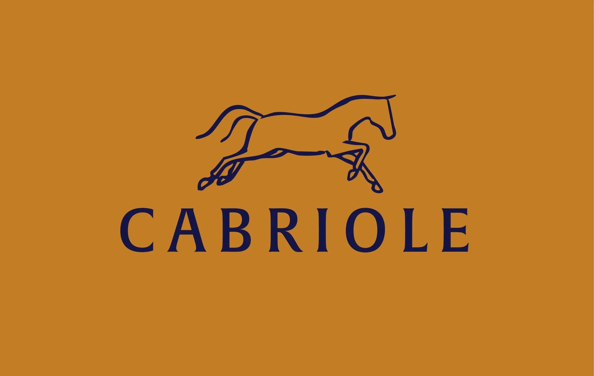 Lettering, Type, & Misc.