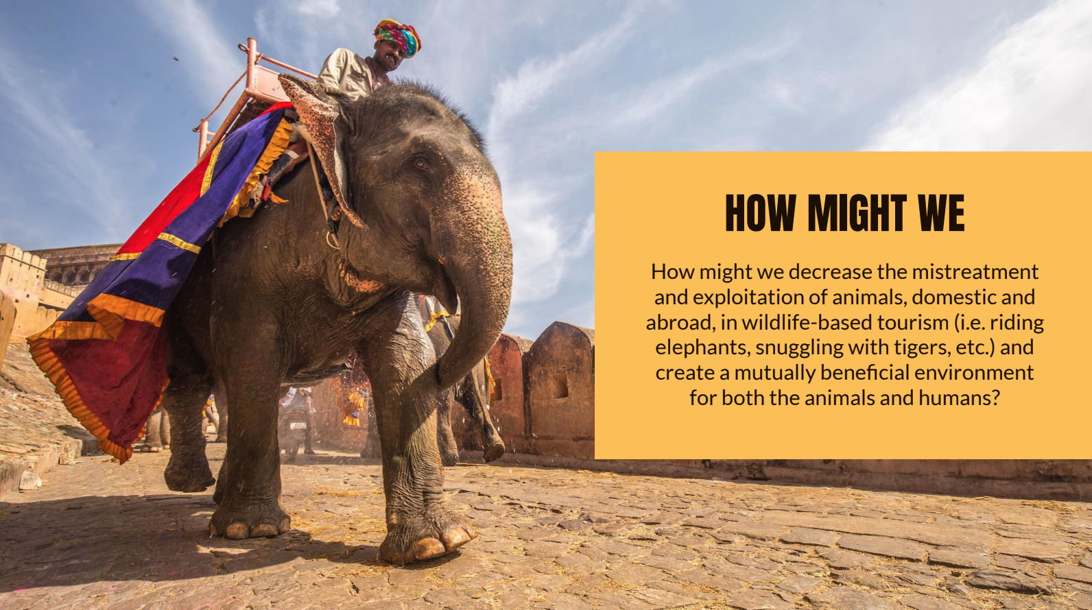 Thesis prep presentation initial HMW