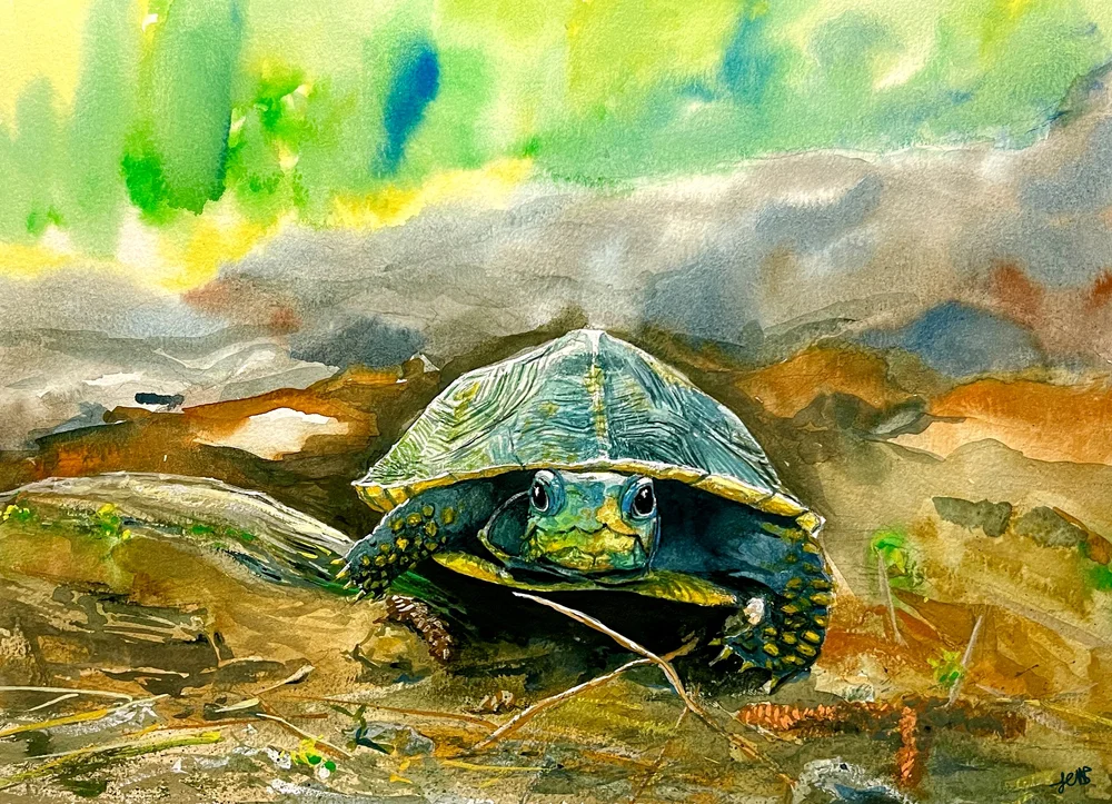 Cornelius the Turtle, a turtle beneath a luminous green and yellow sky