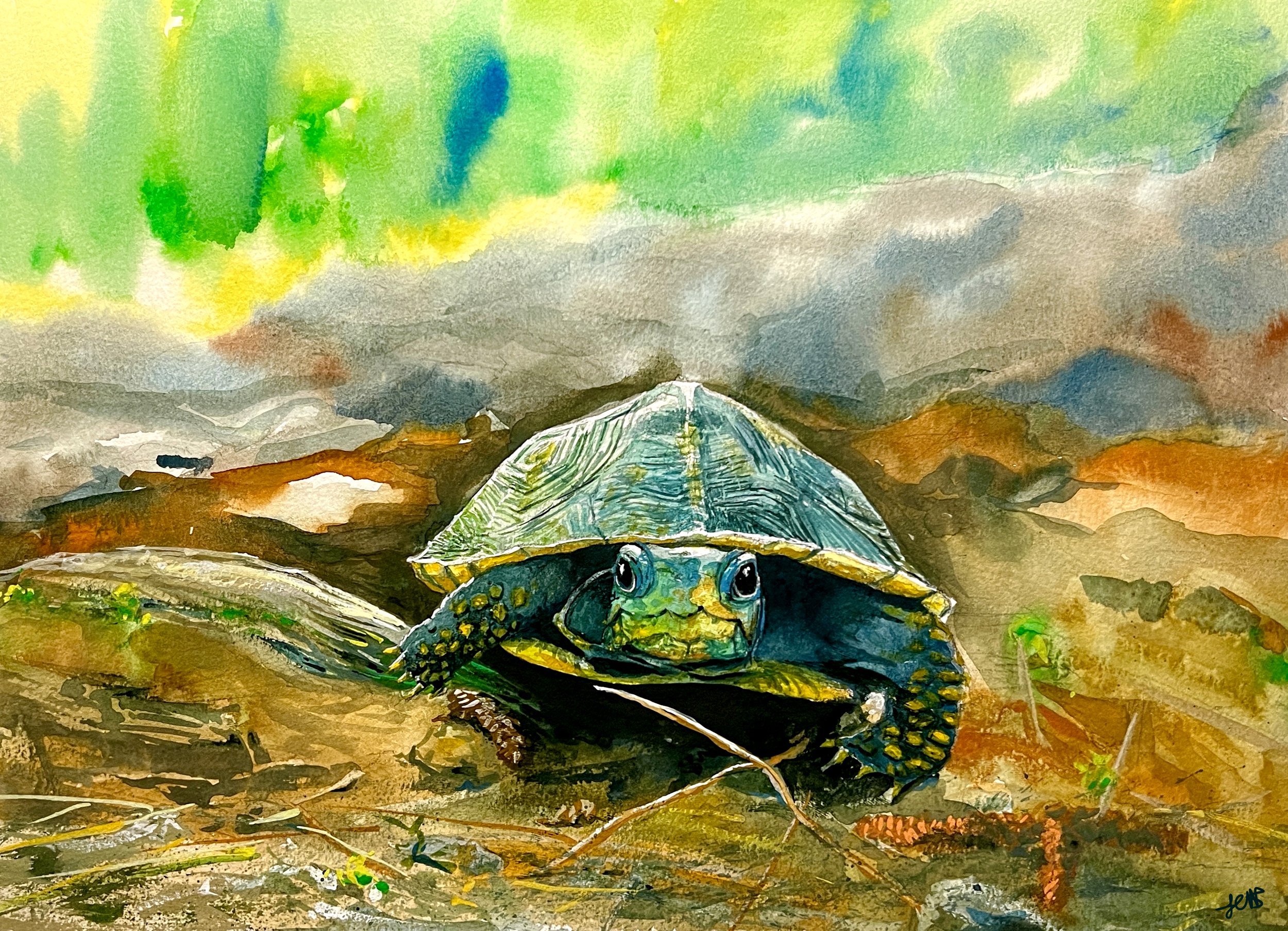 Cornelius the Turtle CORRECTED.jpg