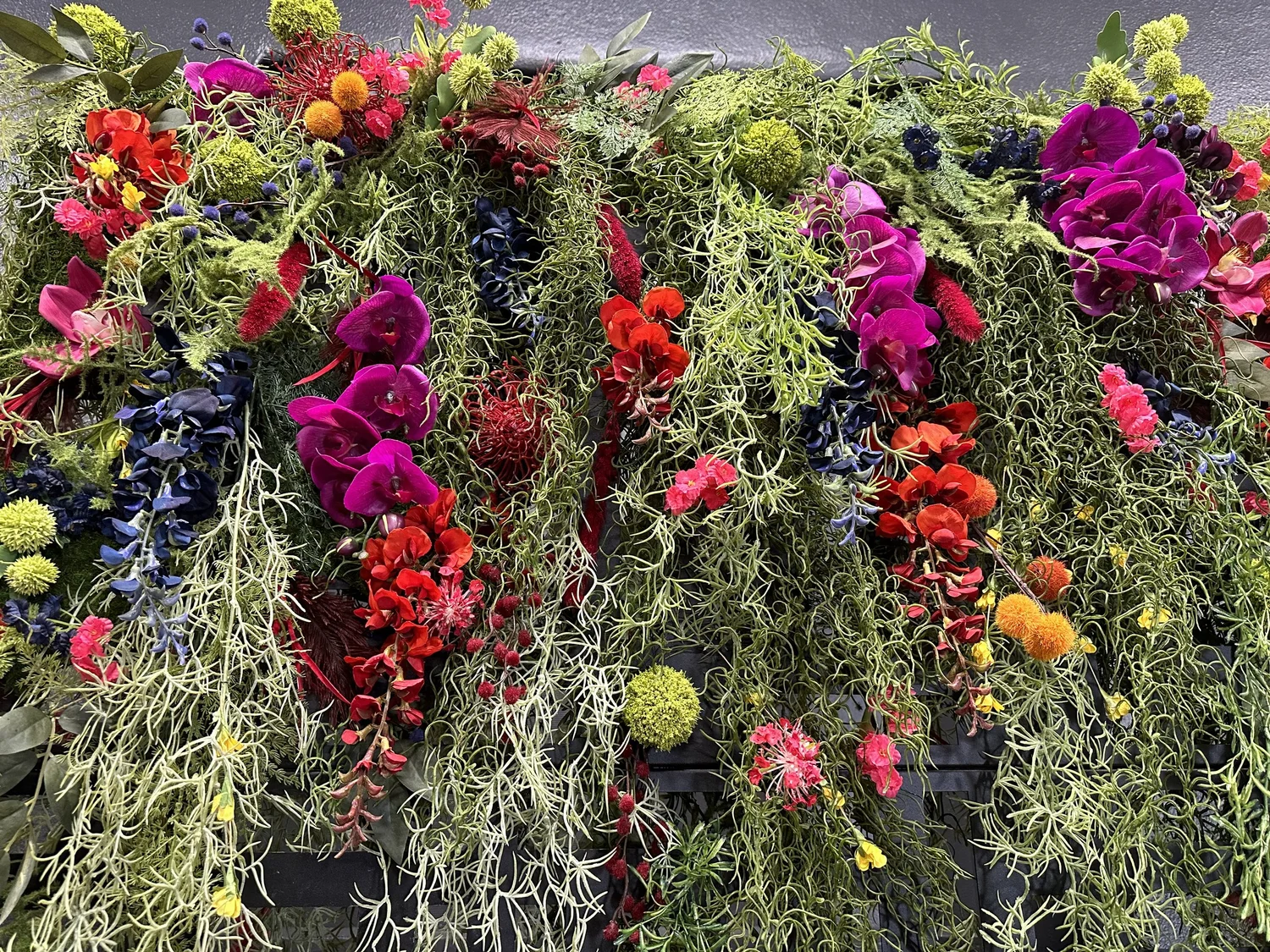 Gallery — The Blind Tiger | Huntsville, AL