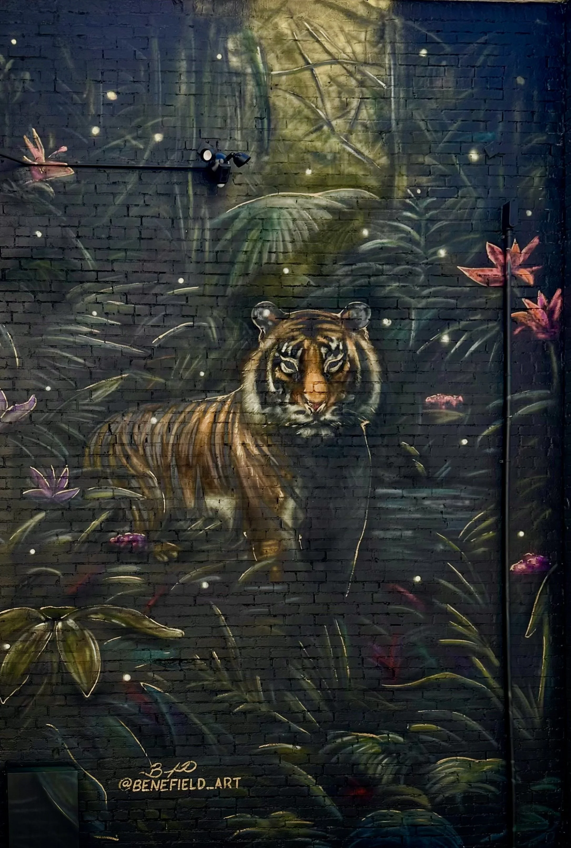 Gallery — The Blind Tiger | Huntsville, AL