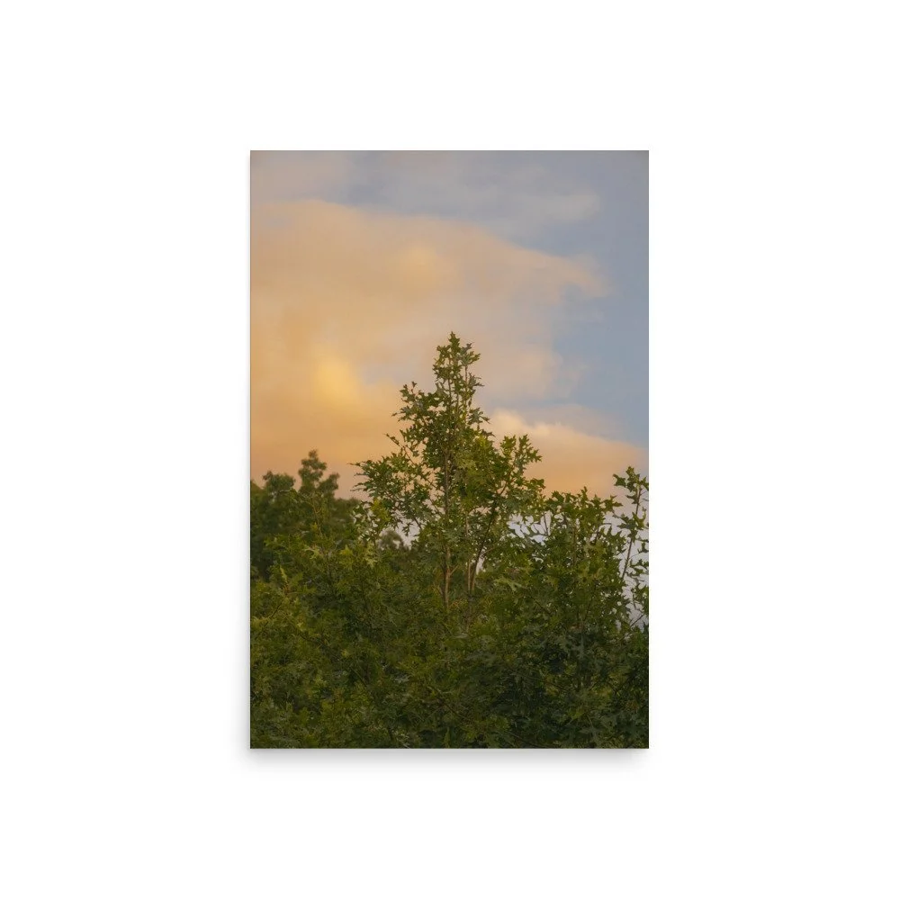 premium-luster-photo-paper-poster-(in)-20x30-front-68a39edce6821.jpg