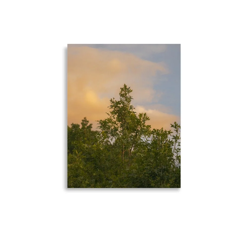 premium-luster-photo-paper-poster-(in)-11x14-front-68a39edce6ee7.jpg
