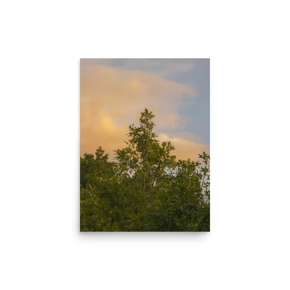 premium-luster-photo-paper-poster-(in)-12x16-front-68a39edce6f7c.jpg