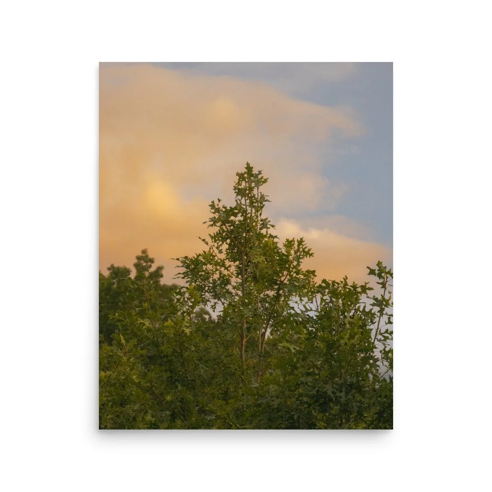 premium-luster-photo-paper-poster-(in)-16x20-front-68a39edce70ac.jpg