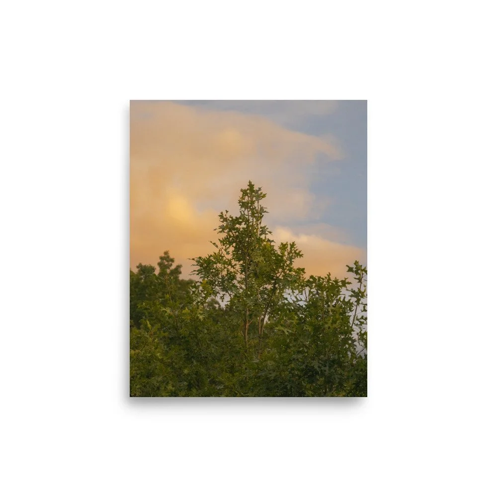 premium-luster-photo-paper-poster-(in)-8x10-front-68a39edce726b.jpg