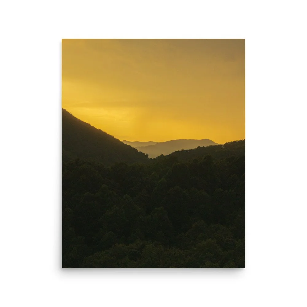 premium-luster-photo-paper-poster-(in)-16x20-front-68a3a02a30cce.jpg