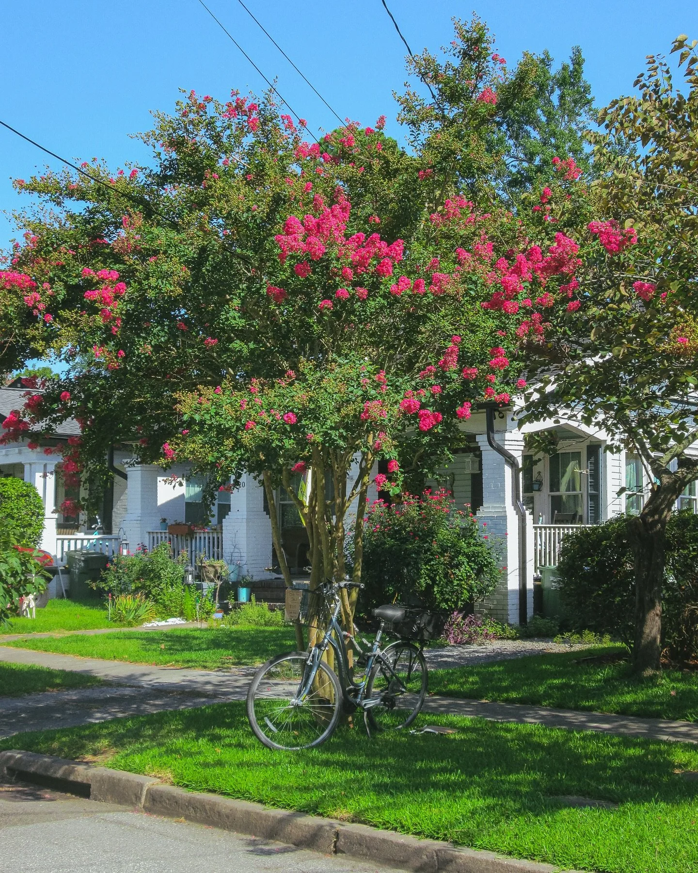 Some digicam shots around the neighborhood 
#digicam #digicamphotography #photowalk