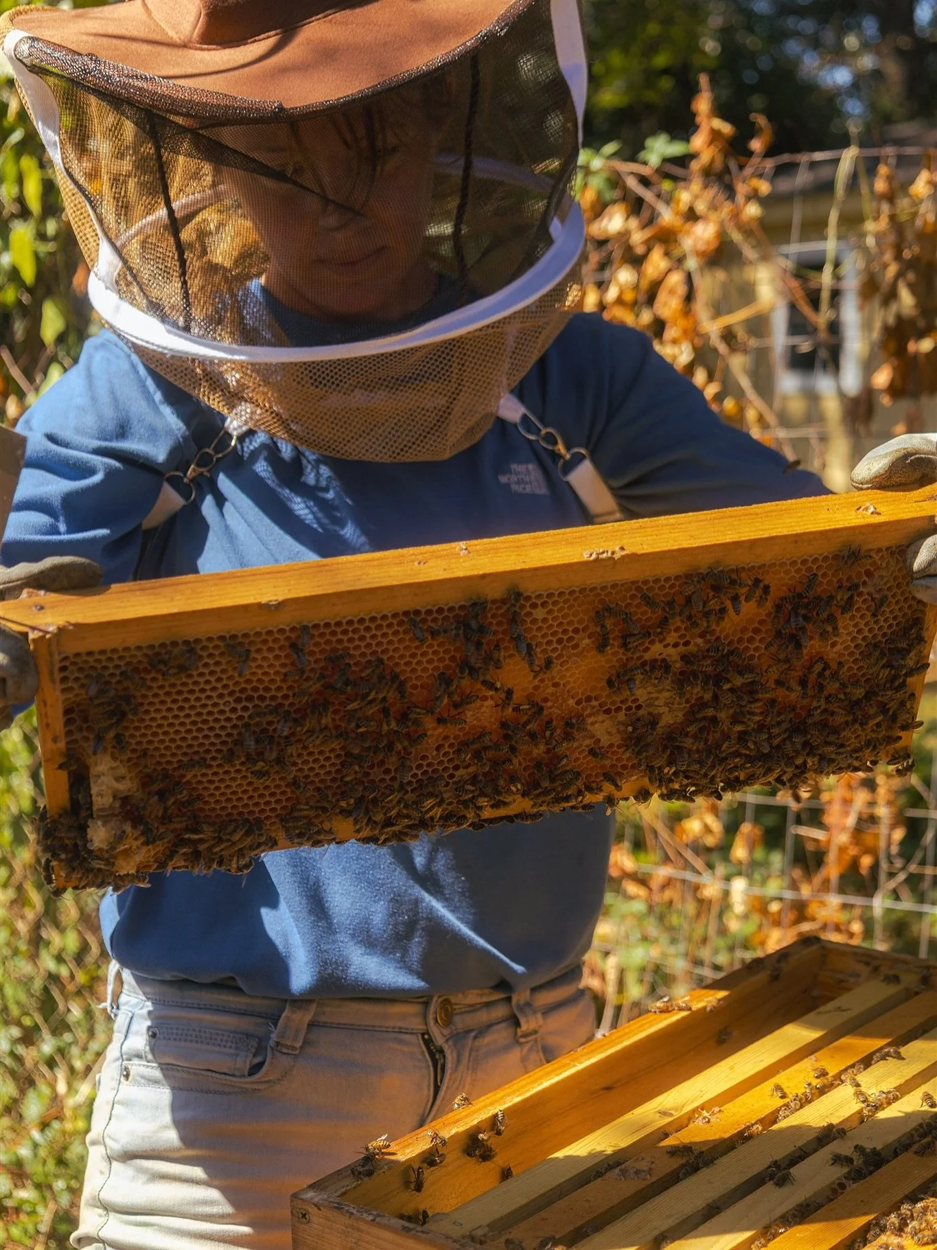 Had the opportunity to capture Jessy from @seasidehoneybees checking on a clients hives. 
If you’ve ever thought about getting a hive but don’t know where to start with installing and maintaining a hive then @seasidehoneybees ha you cove