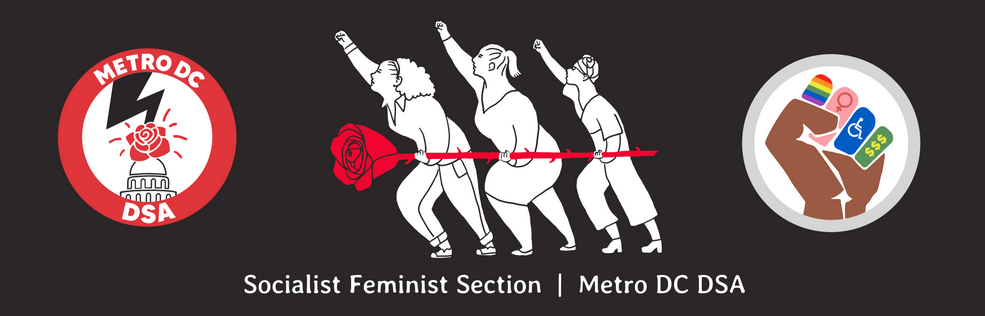 Socialist Feminist Section Happy Hour