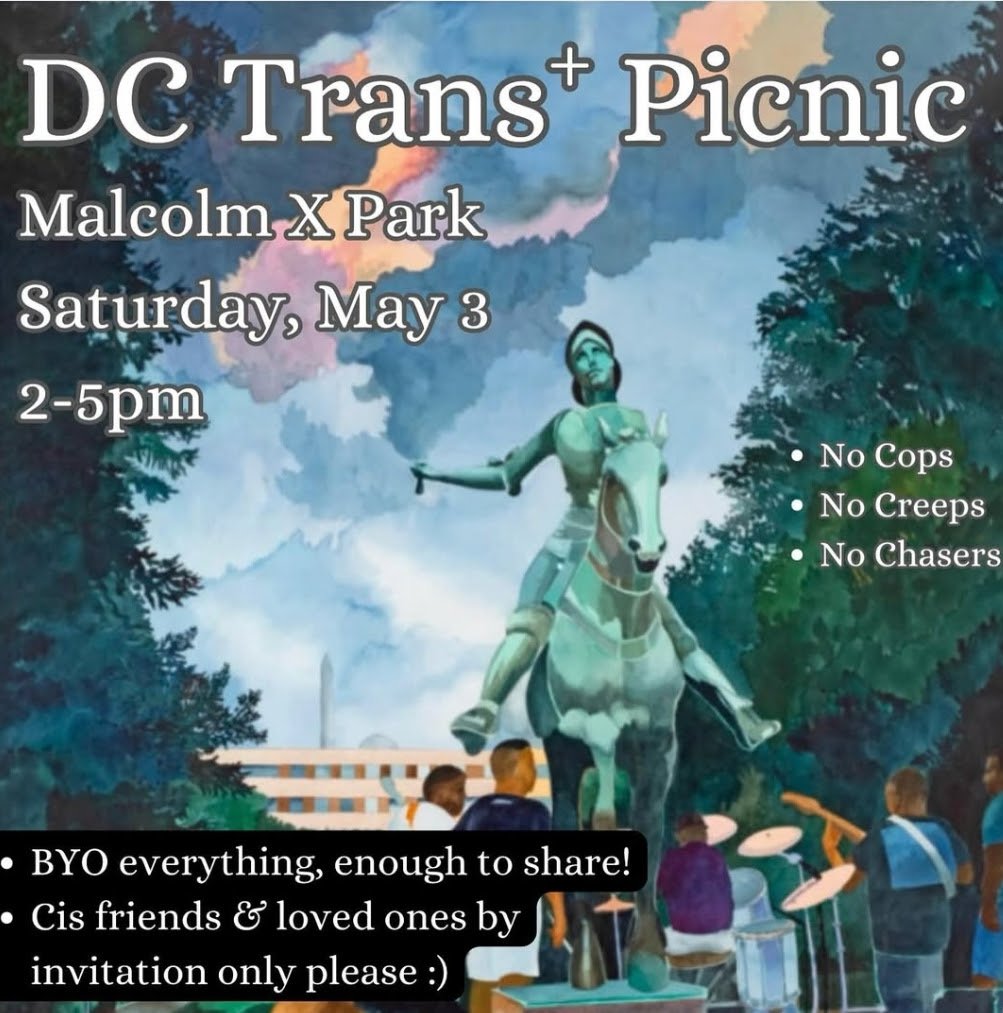 DC Trans+ Picnic