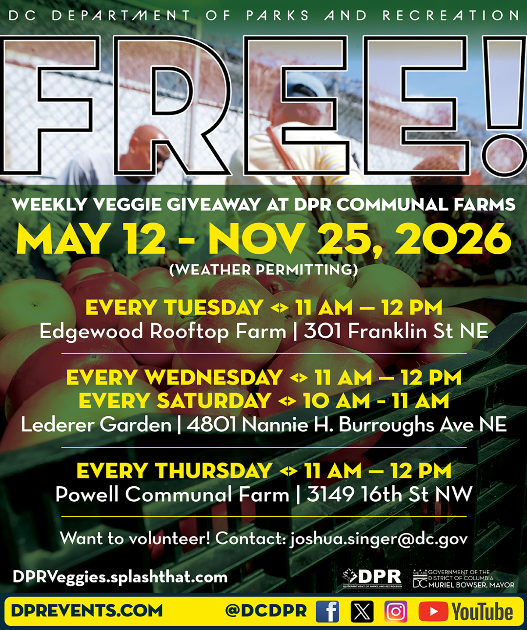 DPR WEEKLY VEGGIE GIVEAWAYS