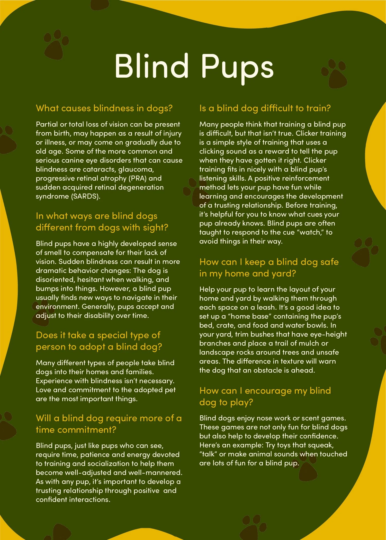 Shaul-Nonprofit-Postcard-6.jpg