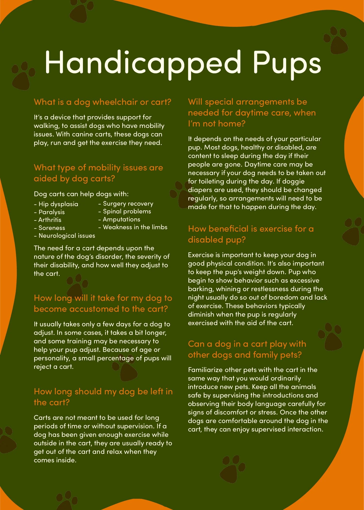 Shaul-Nonprofit-Postcard-2.jpg