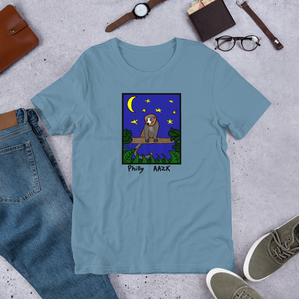 unisex-staple-t-shirt-steel-blue-front-6a6a54c684b12.png