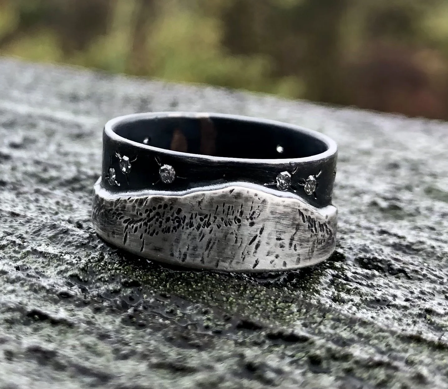 Catskills View w Diamond Stars in Silver