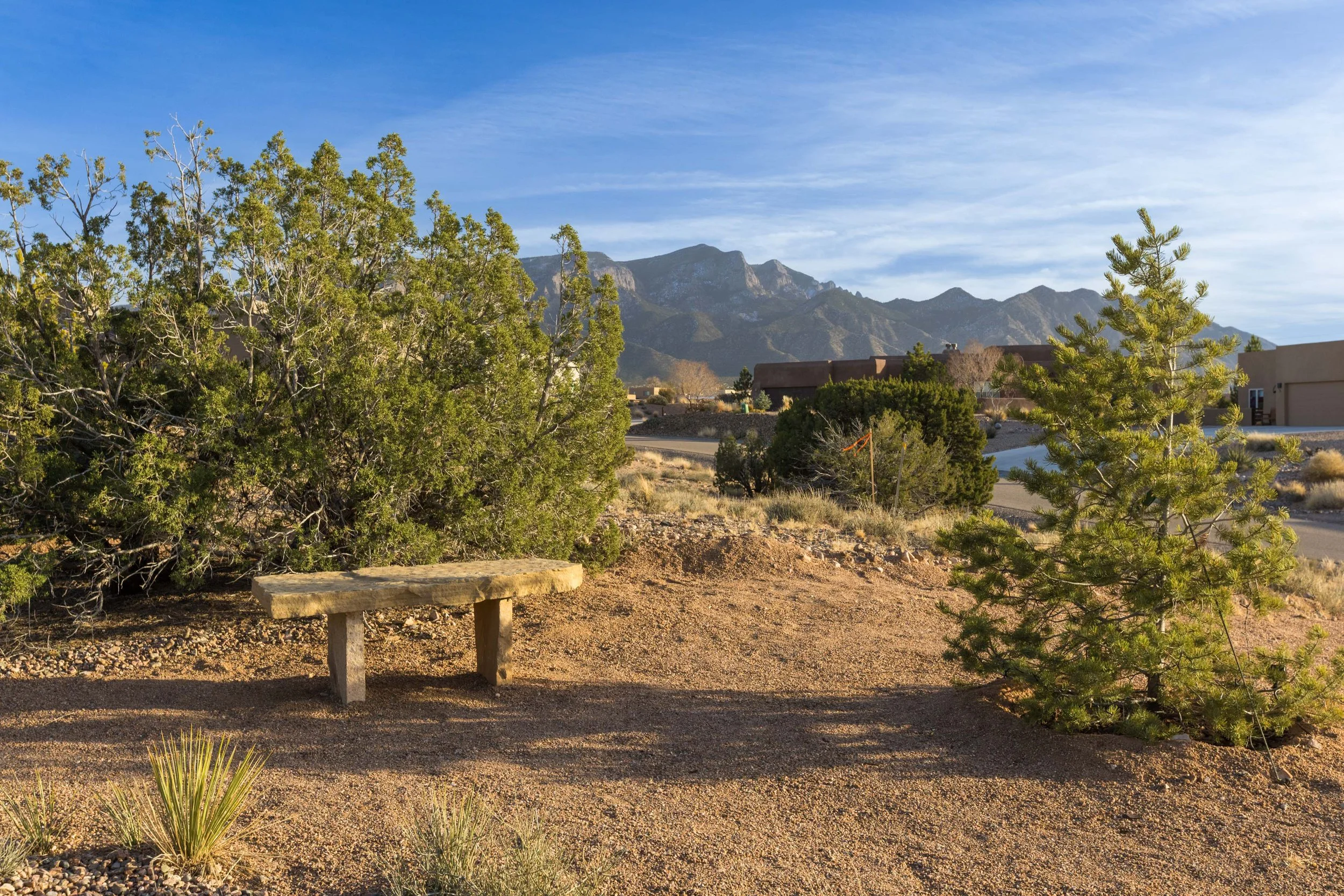 FOTOVAN.com_(023) 1 Sandia Azul_.jpg