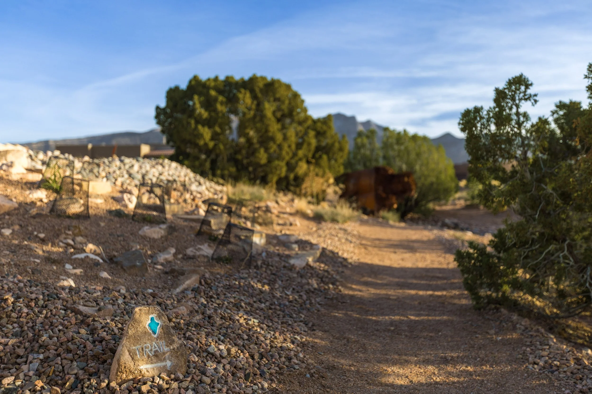 FOTOVAN.com_(021) 1 Sandia Azul_.jpg