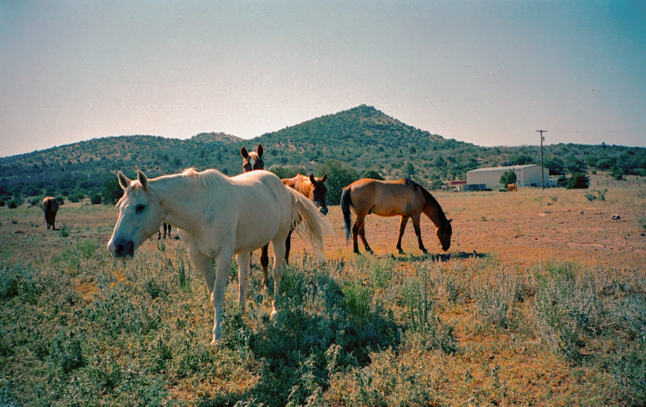 july2023-portra400-21-positive-Edit.jpg
