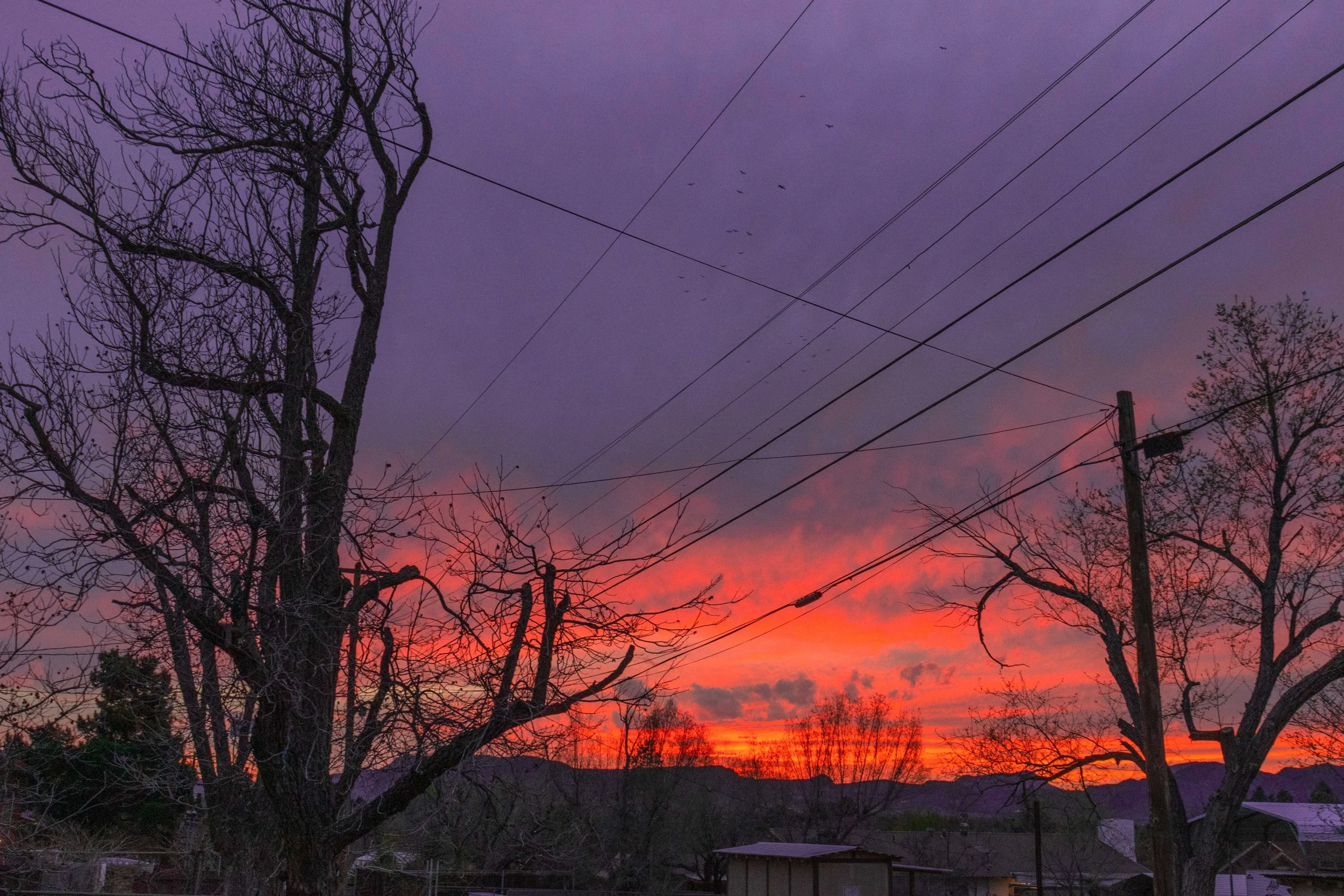 IMG_4286.jpg