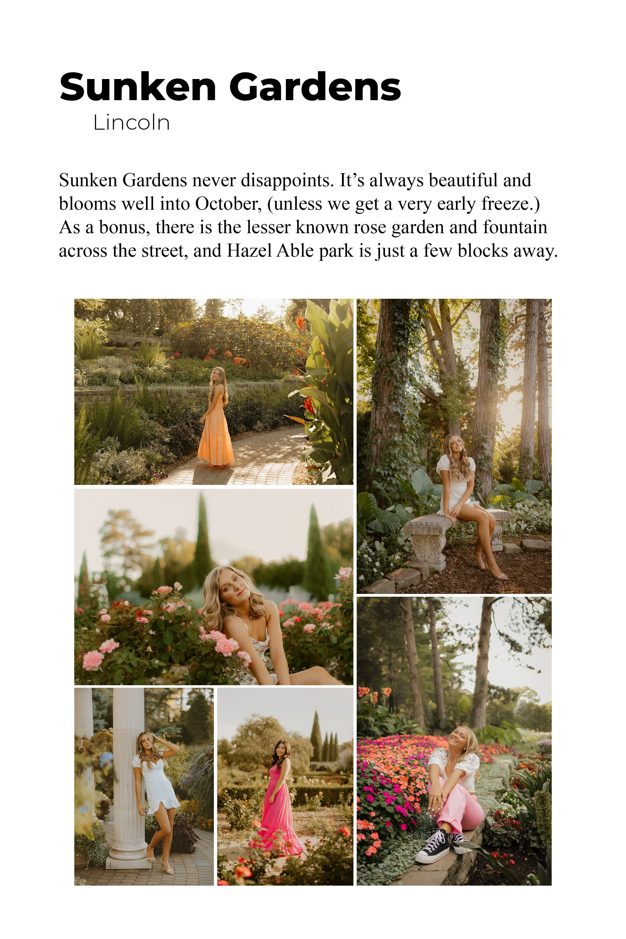SeniorGuide8x1221.jpg