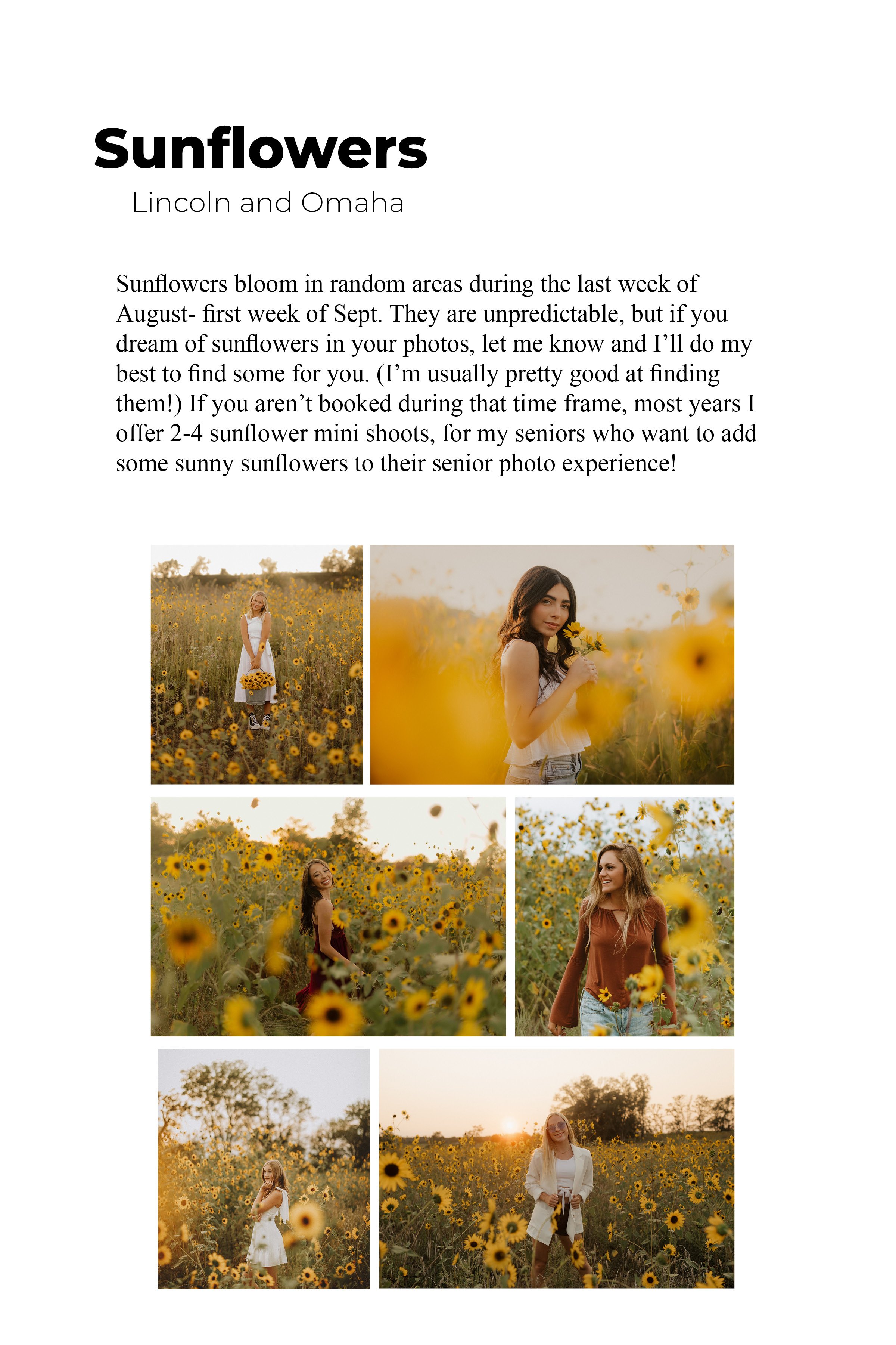 SeniorGuide8x1228.jpg