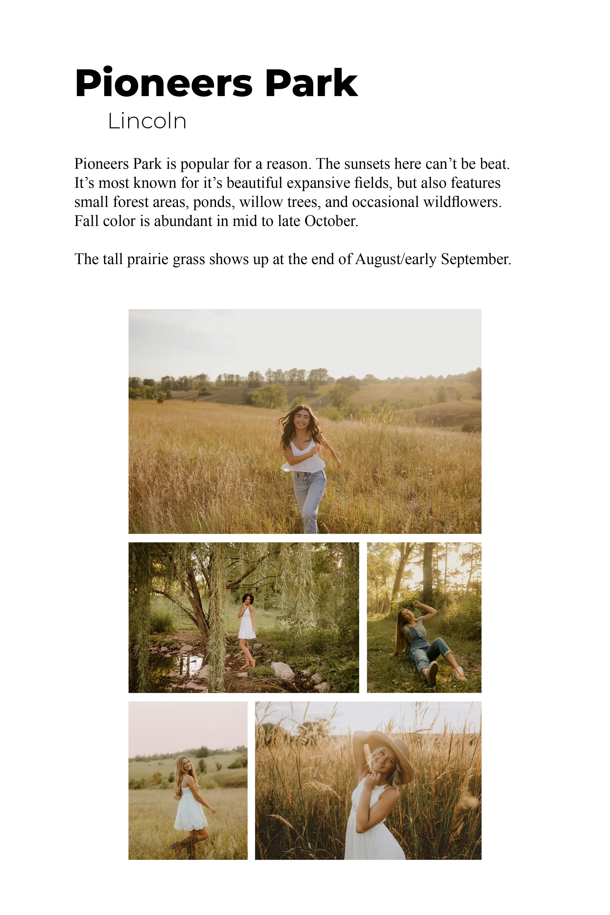 SeniorGuide8x1212.jpg