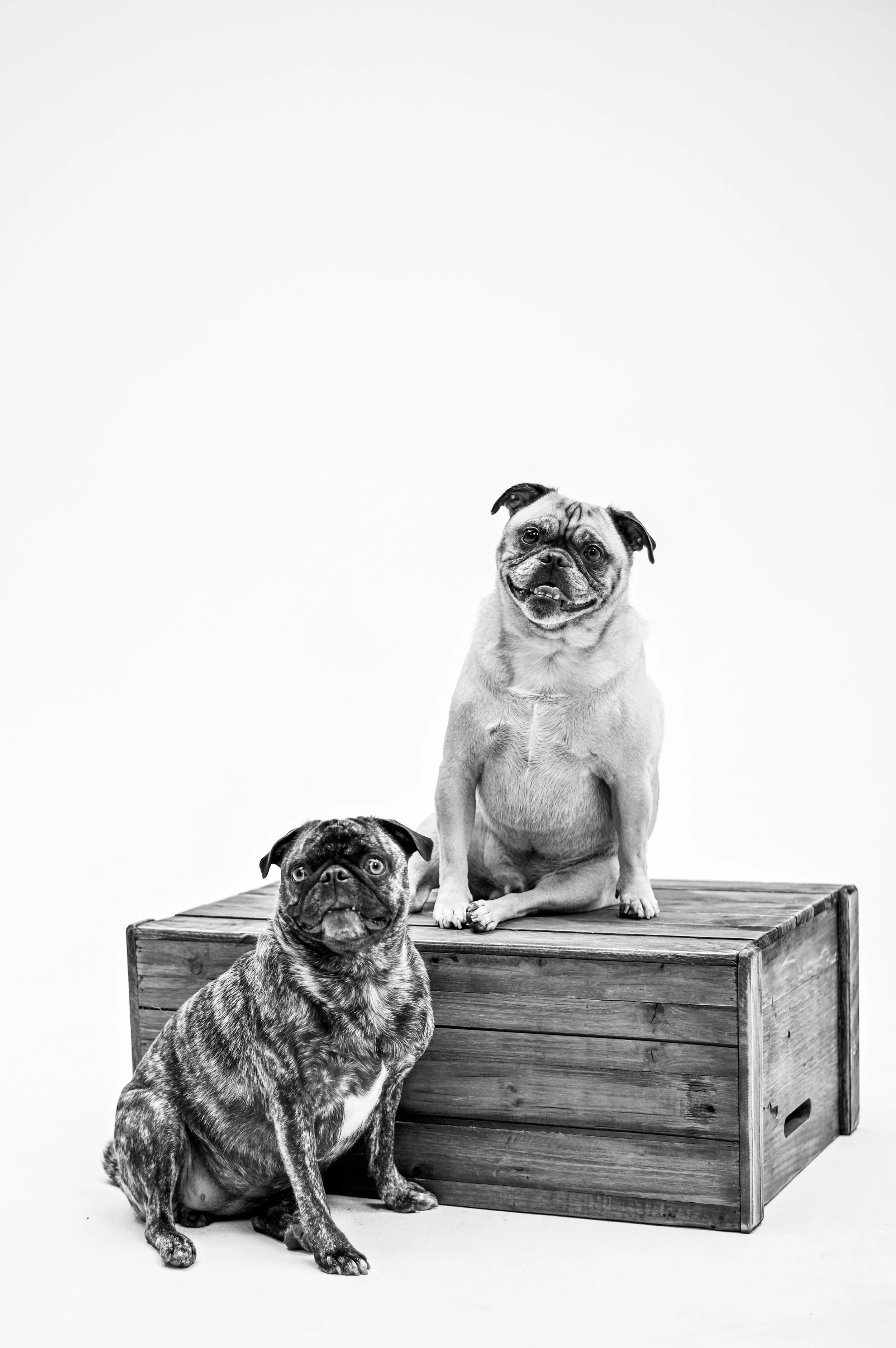 Shot by @nakataphotography