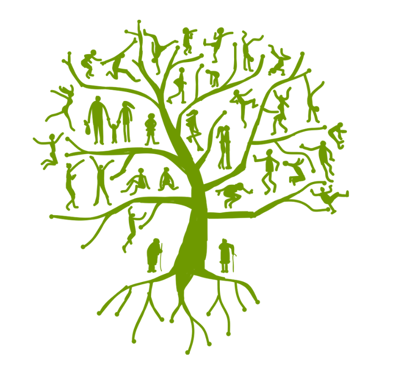 Week 6 – February 2-8, 2025 - You Can’t Choose Your Family, but God Can Choose You!