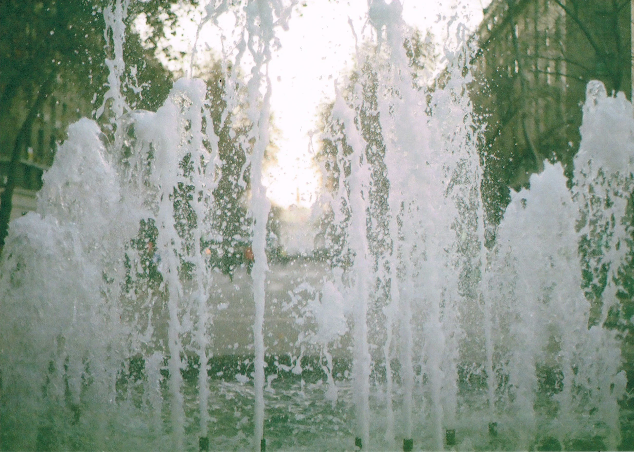 Week 30: July 26-August 1, 2026 - The Fountain of Youth?