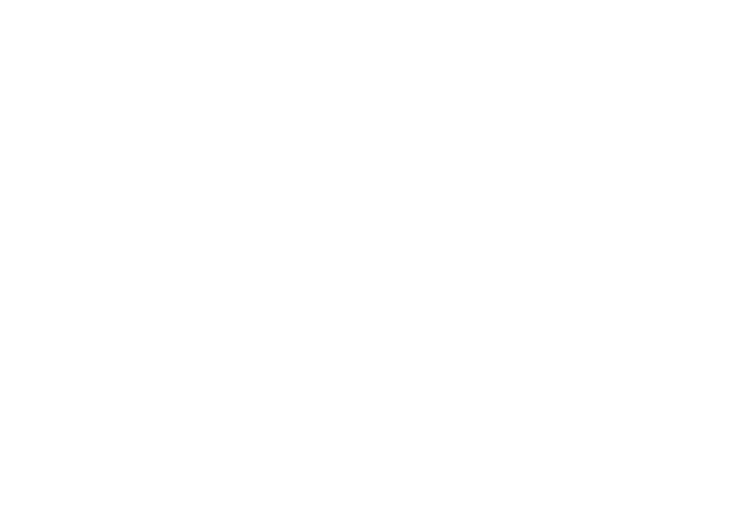 Aviara Institute