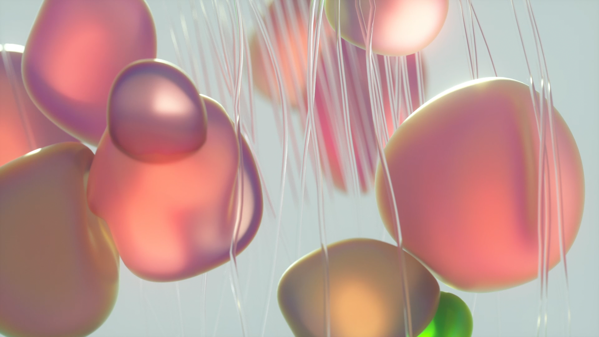 2022_reel Linked Comp 03_00088.png