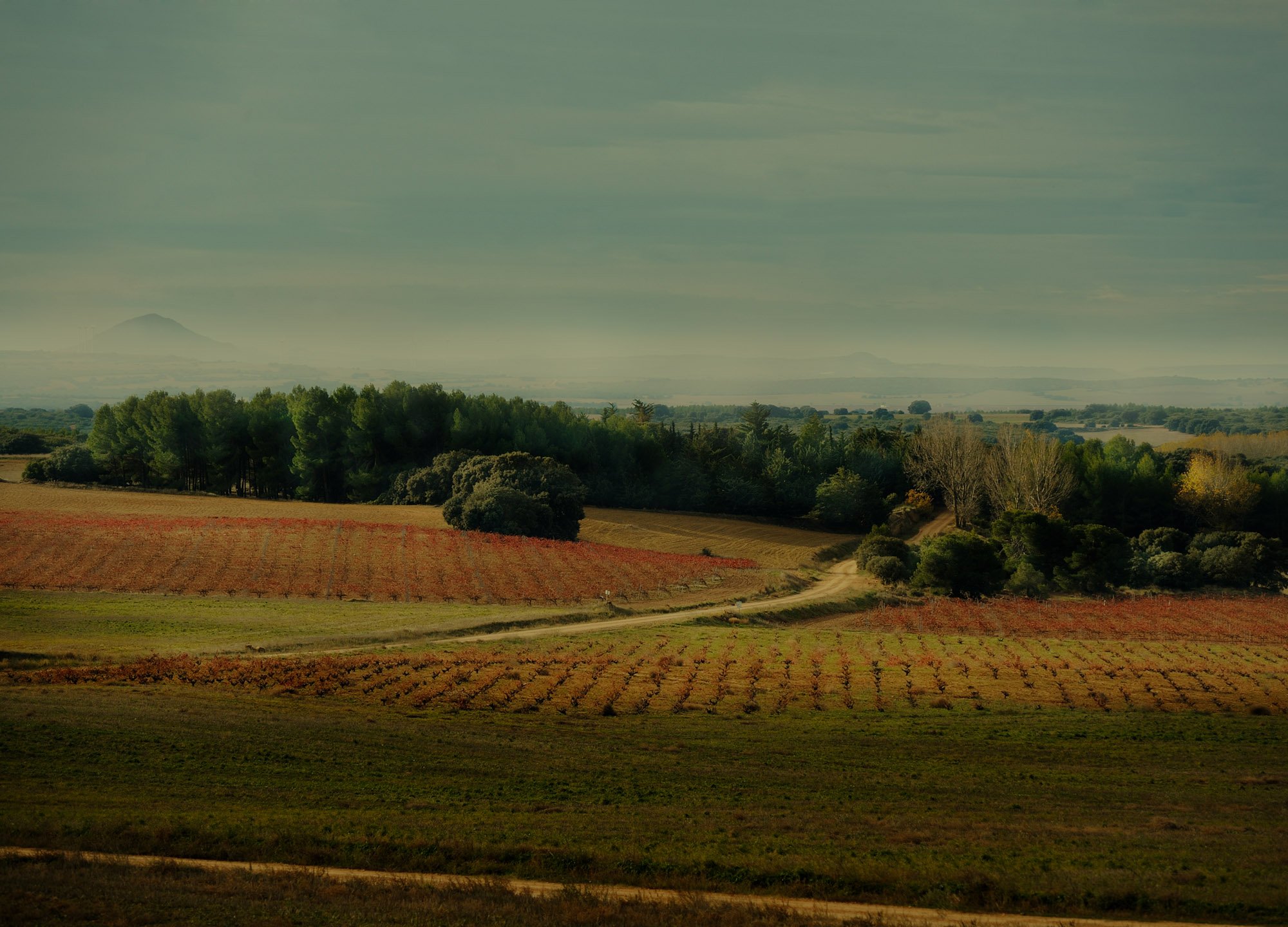 Gil Family Estates Spanish Wine Dinner (for 2 People)