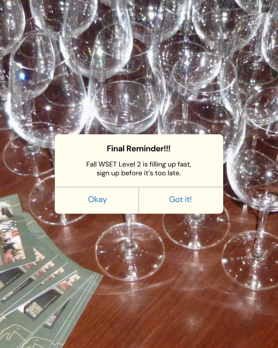 It&rsquo;s true! Last call for WSET Level 2 is happening NOW! There are only a handful of spots left for the fall Wednesday sessions, starting next week on September 17th. Taught by the one and only @christinahartigan 📚🍷

👉🏼 But this just in! The