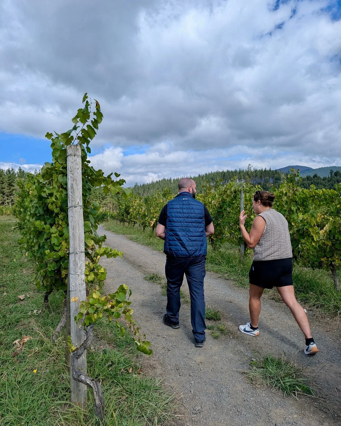 👋🏻 from the Basque Country in Northern Spain! 🇪🇸🍇

A region worldwide famous for their one-of-a-kind cider culture, buzzing Pintxos Bars, and crazy concentration of Michelin star restaurants. It&rsquo;s only natural that great wine shows up in t