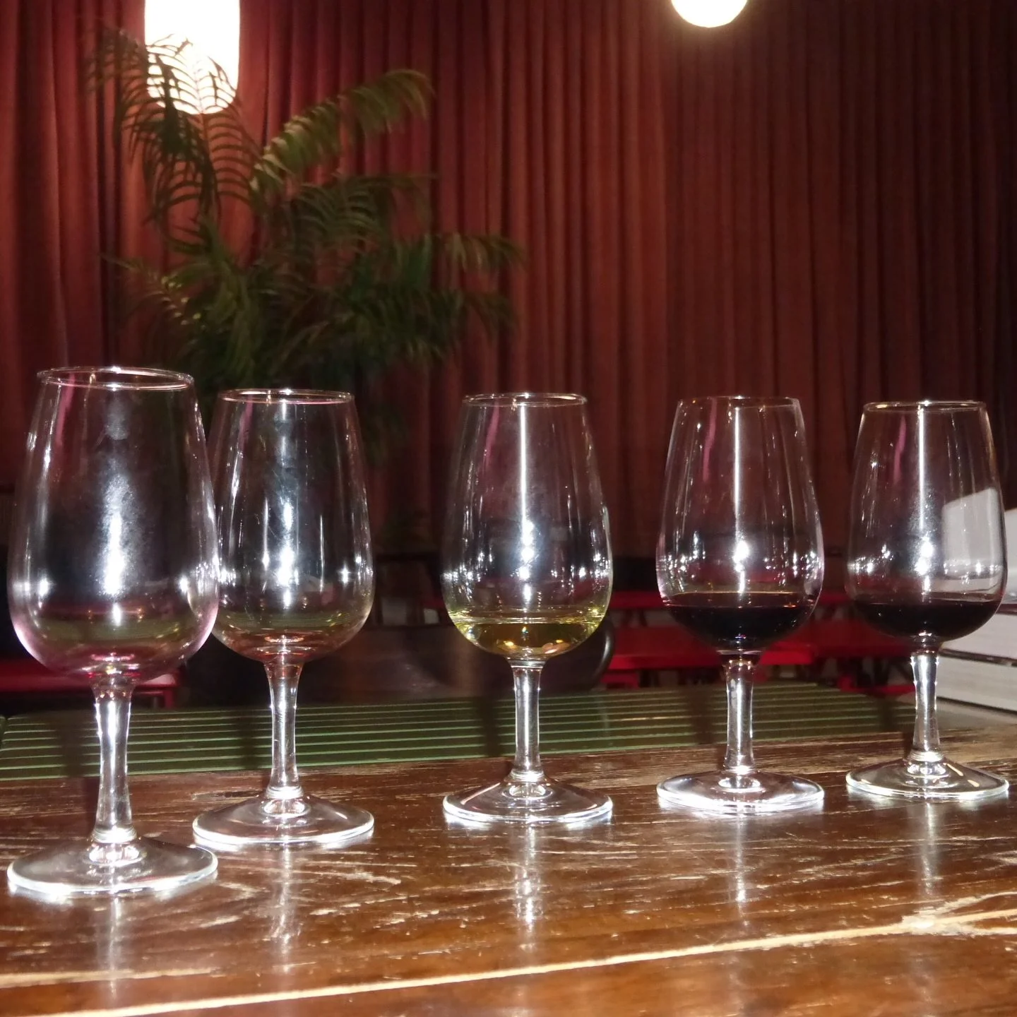 ‼️ It Tastes Like Grapes: Wine Tasting 101 is filling up fast! ‼️

🍇 Join us next Thursday, November 13th from 6 - 8 PM. This class will teach you to explore your own palate, differentiate between aromas and explore different flavours, and learn the