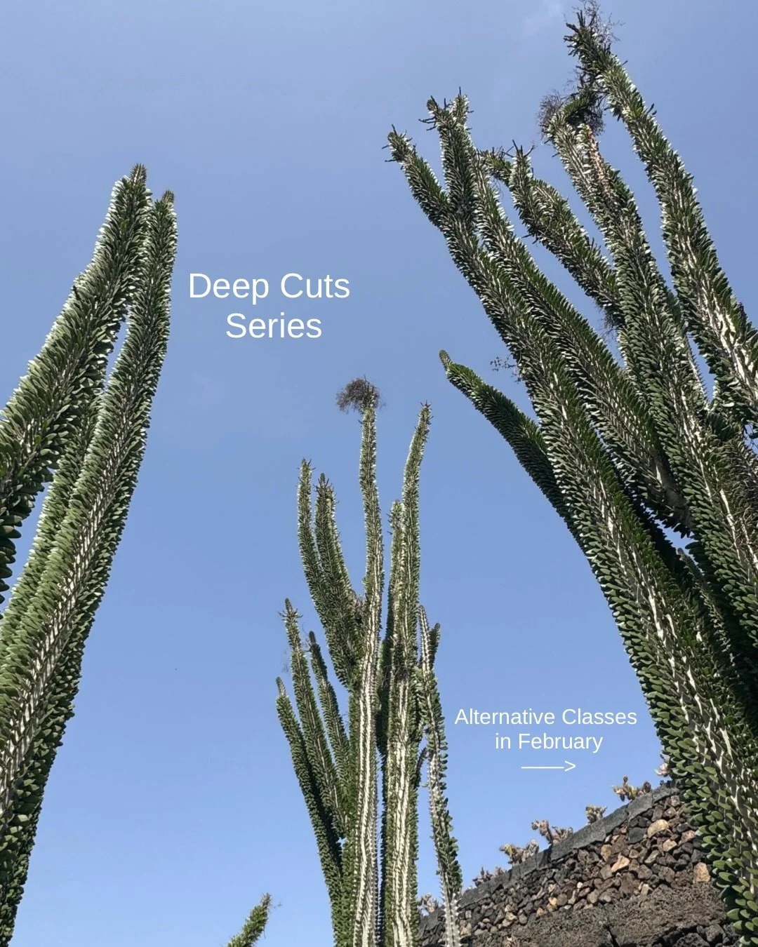 Come with us as we deep dive on what are arguably the most notable European wine regions next month!

🇫🇷 Deep Cuts: Vol.2 is F R A N C E! On Wednesday, February 4th. 

🇪🇸 Deep Cuts: Vol.3 is S P A I N! On Wednesday, February 11th. 

🇮🇹 Deep Cut