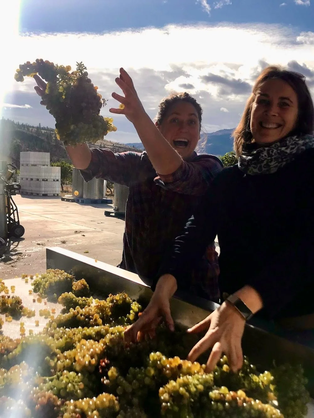 ✨ Our Headliners series is back! ✨ And this time around we&rsquo;ll welcome Severine Pinte, winemaker and viticulturalist from Le Vieux Pin and LaStella winery in Southern Okanagan, British Columbia!

👉🏼 The Headliners series is an opportunity to i