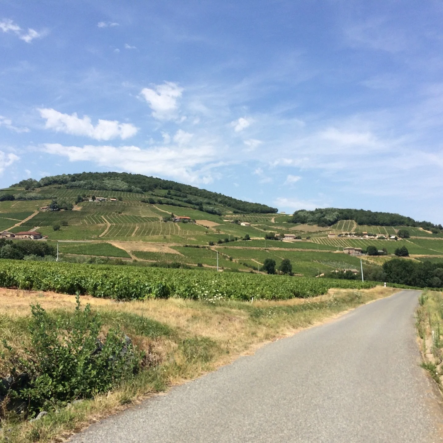 Deep Cuts: Vol. 2 France 🇫🇷🥖 is back on Thursday, May 7th! 

Arguably the most ubiquitous wine culture in the world, France is synonymous with fabulous fashion houses, delicious cheese, and of course, fancy wine. While you may be familiar with the