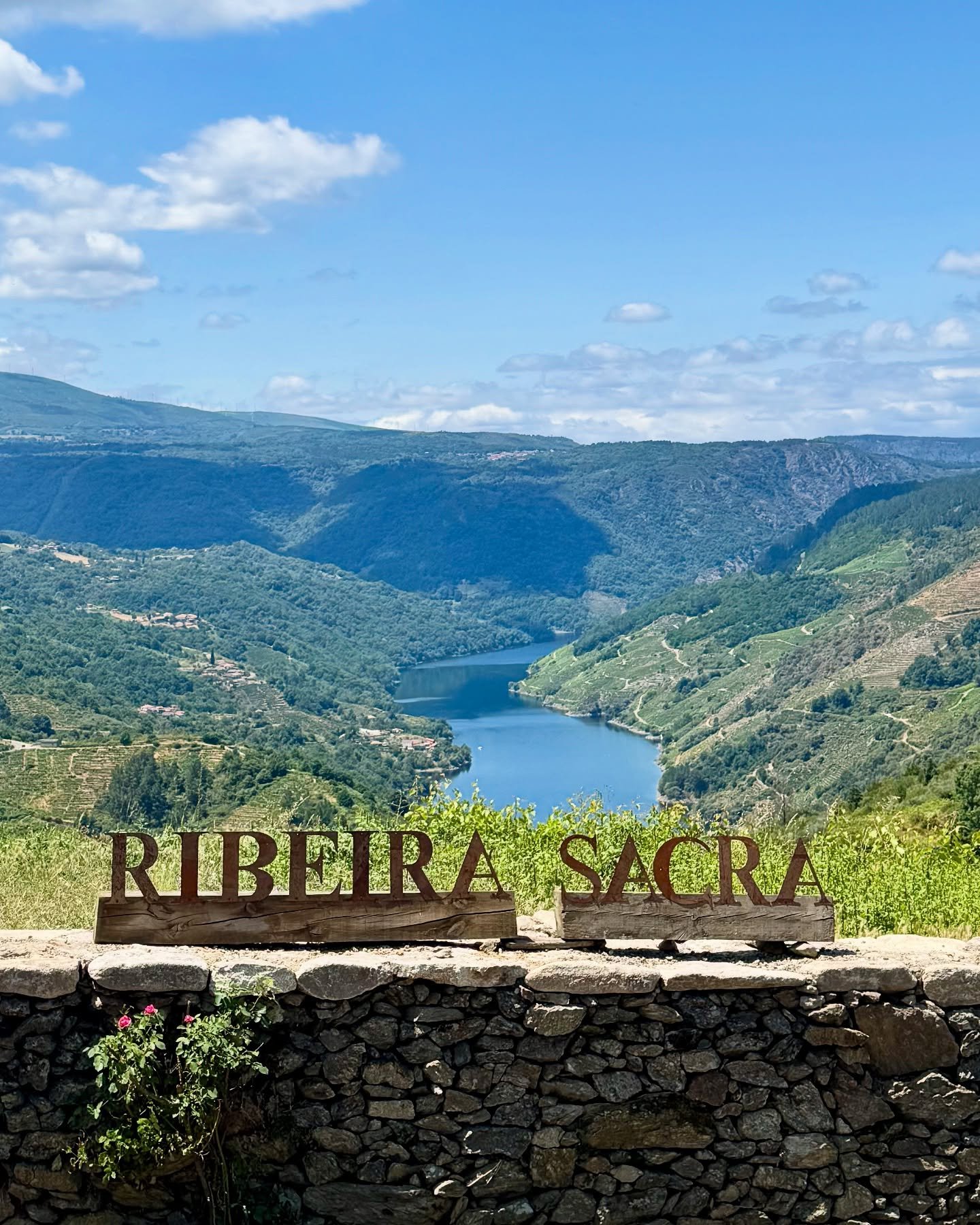 Deep Cuts Vol.3: S P A I N 🇪🇸 is back next week on Wednesday, April 22nd at This Is Wine School! 

As a country with a wide diversity of native grape varieties, wine styles and traditional regions, Spain too often gets branded as being only about c