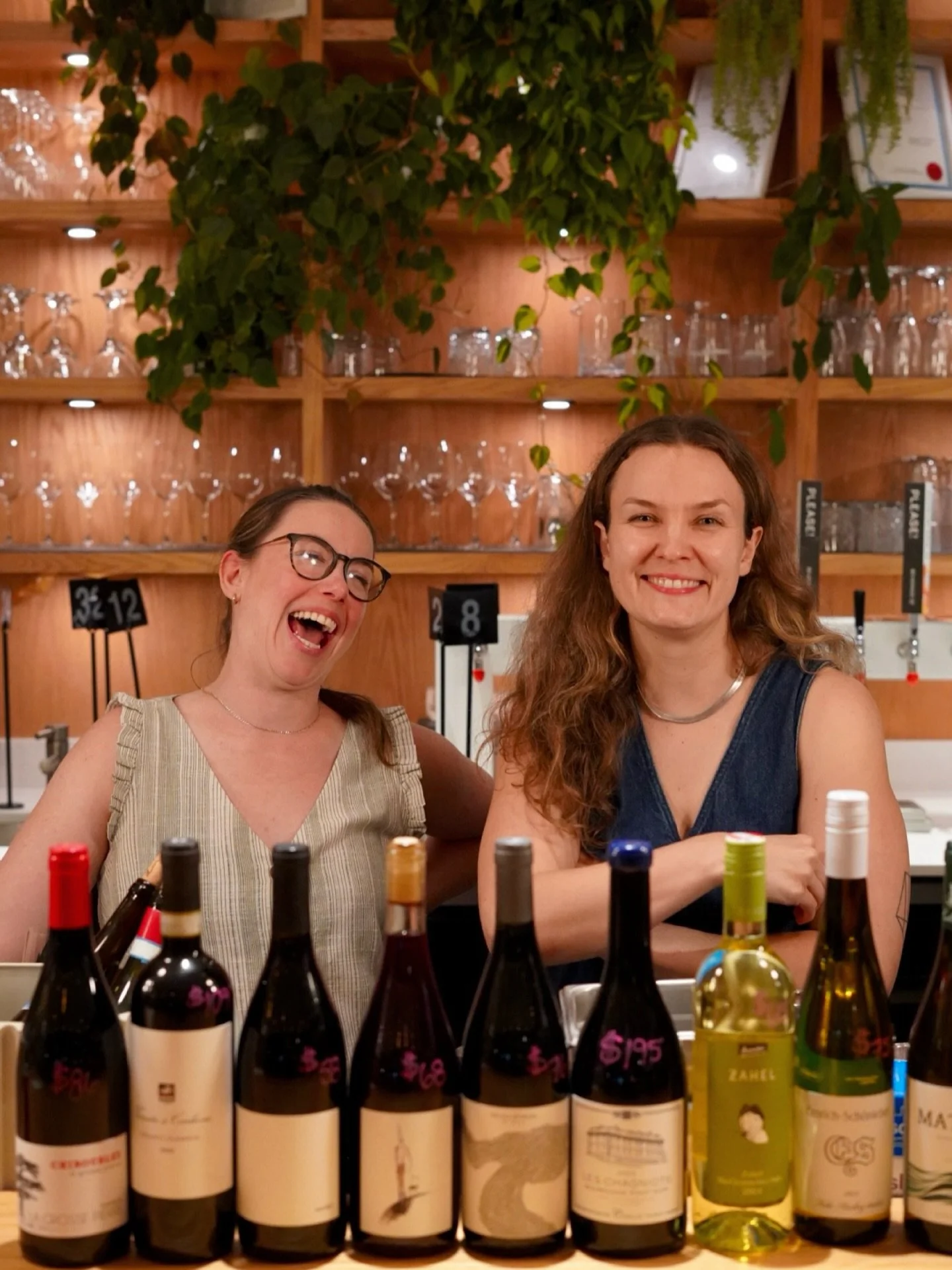 We&rsquo;re back this evening and tomorrow at @forecastcoffee.ca for all your weekend patio hang needs! 🥂🌞

We&rsquo;ll be pouring lots of fun stuff, including a special white wine from @zahel_weingut in Austria that @briscoejenna assisted in impor