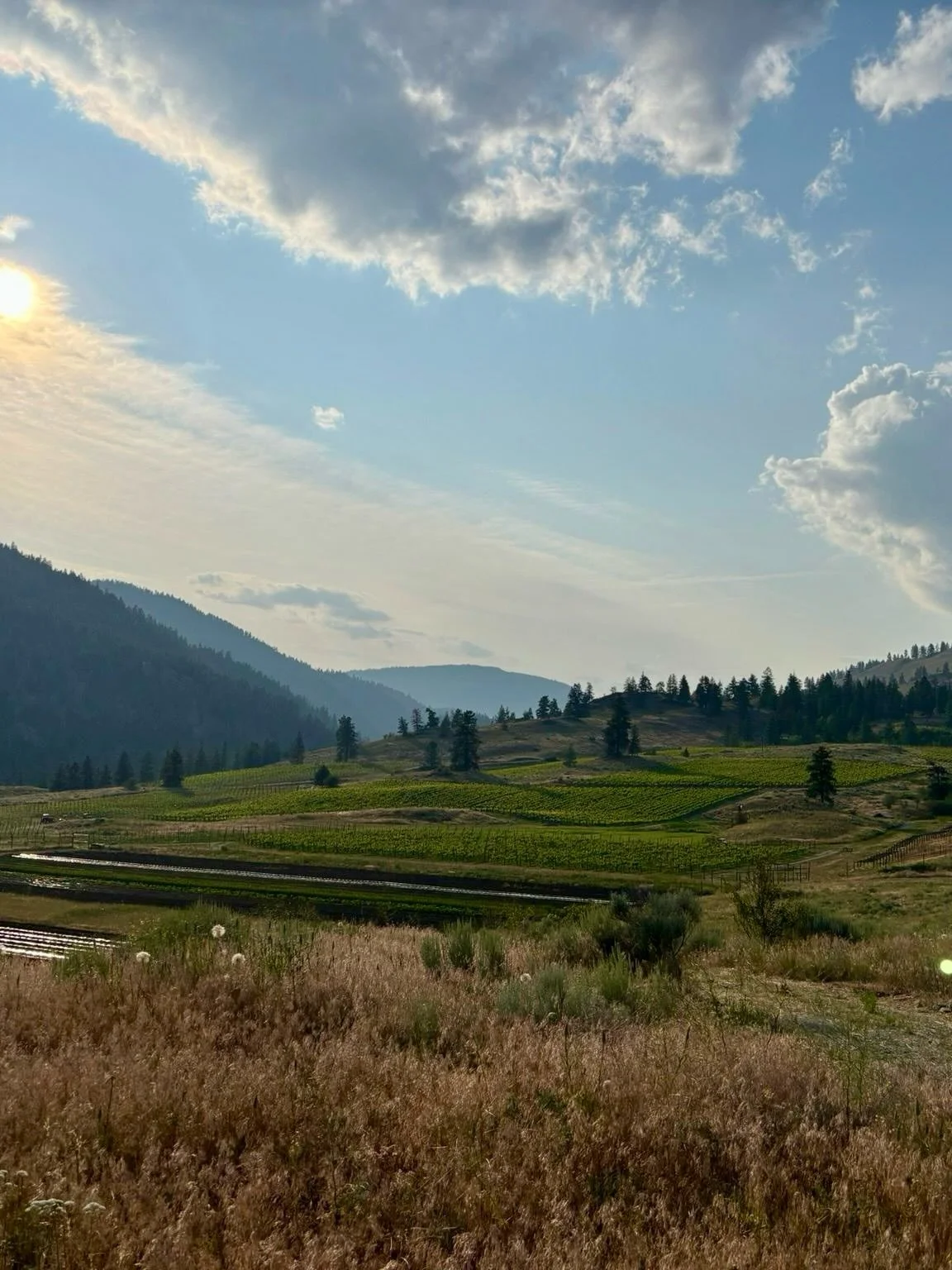 Made In Canada 🇨🇦 is a class that so many of you have asked about and features Canadian wine from Coast-to-Coast! 

On the global scale, Canadian wine is relatively unknown and even trickier to define. We&rsquo;re a big country, and it&rsquo;s cold
