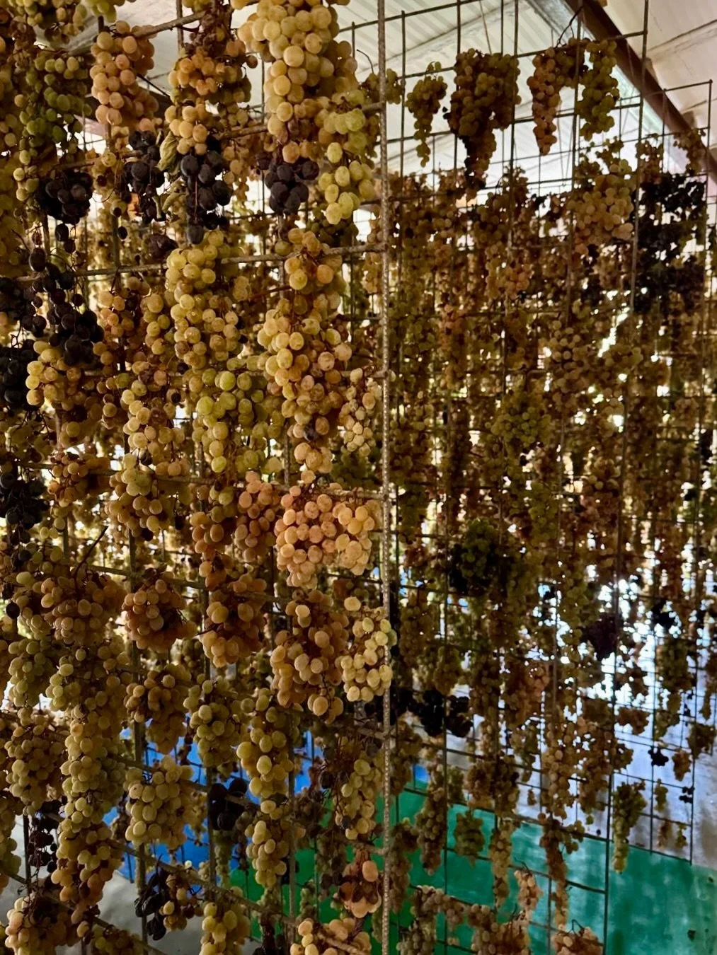 Have you ever heard of Vin Santo? 🍇 It&rsquo;s a sweet dessert wine from Italy 🇮🇹 (traditionally Tuscany) and is made of white varietals like Trebbiano and Malvasia. 

ℹ️ The process of making Vin Santo is incredibly intricate and long. Grapes are