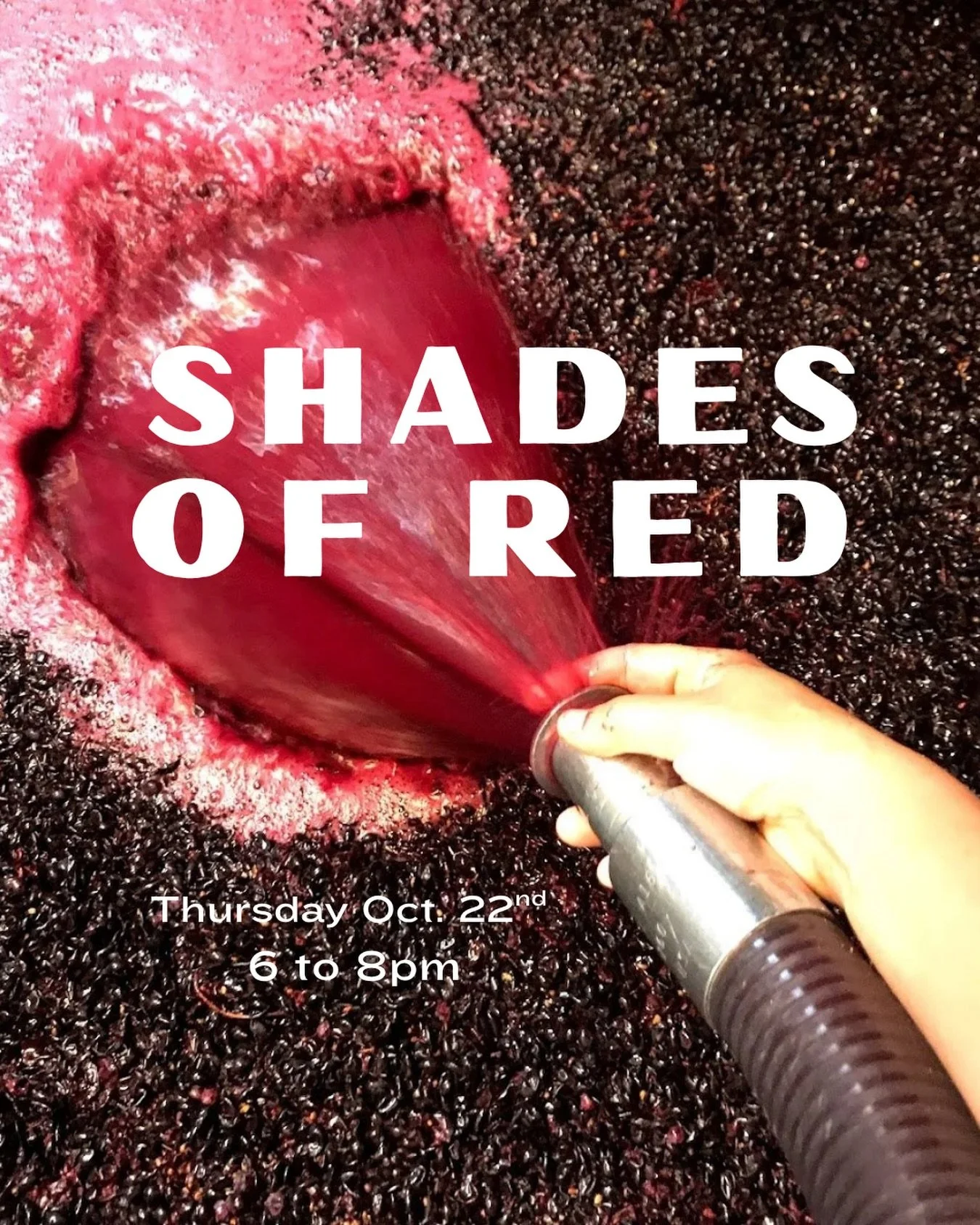 🍷 Join us for the next iteration of Wine Tasting 102: Shades of Red, a class designed to build on the fundamental skills of tasting and to introduce you to a few major styles and flavours in the wide world of red wine.

Together we&rsquo;ll taste th