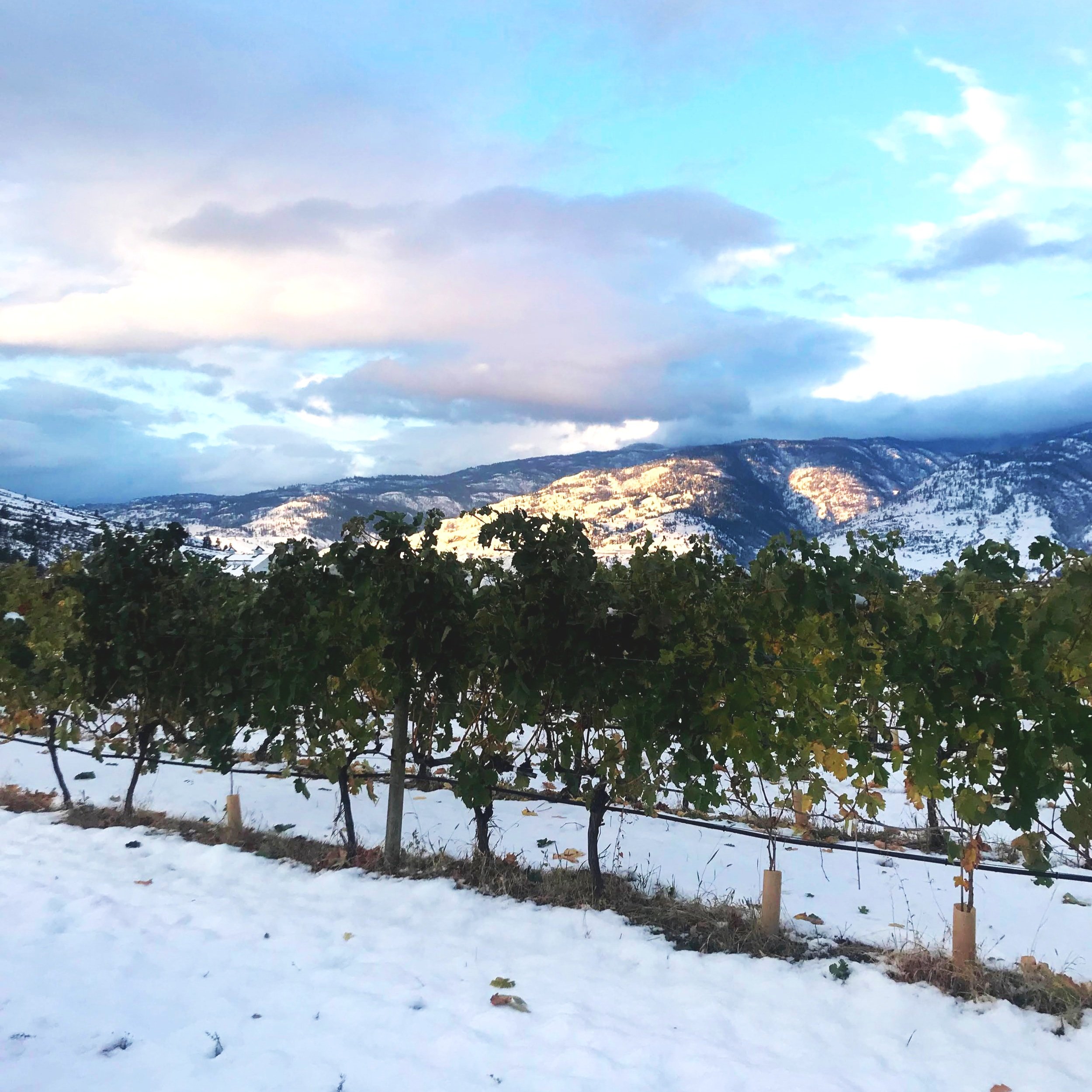 Made in Canada  🇨🇦  Apr. 9