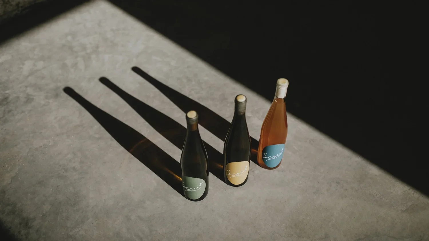 Scout-Vineyards-5.webp