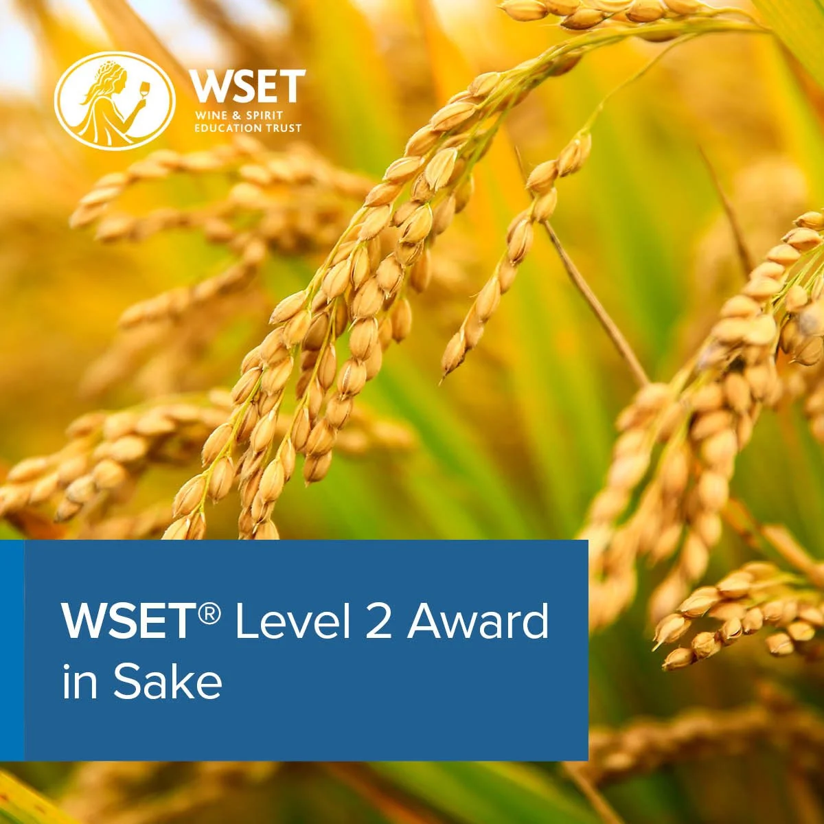WSET Level 2 Award in Sake (Toronto)