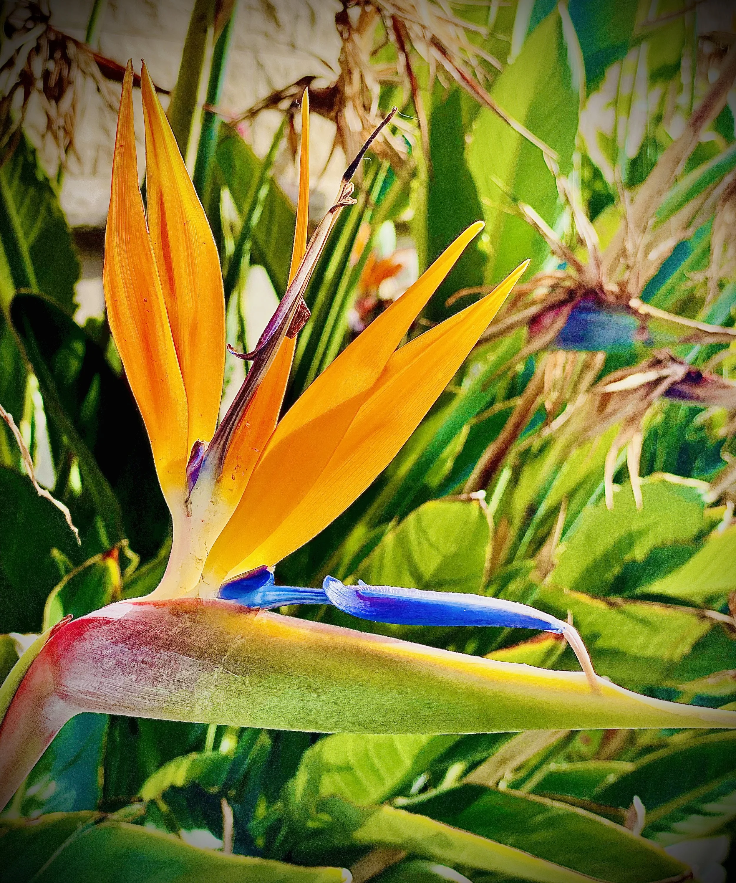 What it takes to change