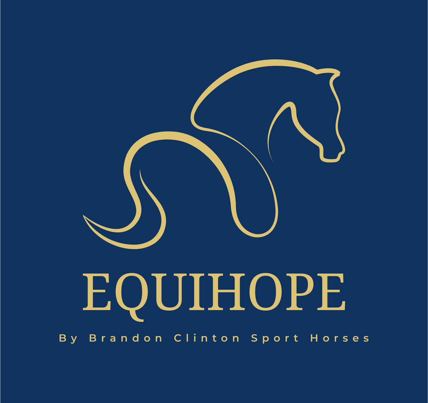 Contact 1 — EquiHope